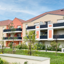 Stella Verde - Livraison immédiate !