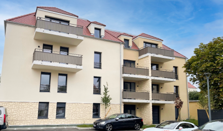 L'Amaryllis L'Amaryllis