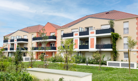 Stella Verde - Livraison immédiate ! Stella Verde - Livraison immédiate !